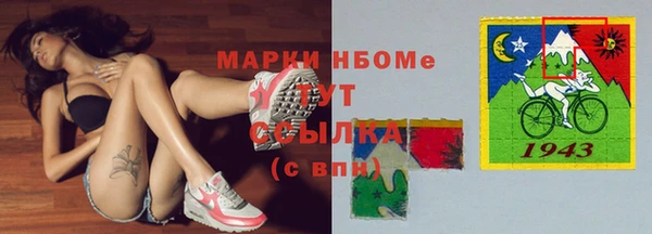 амф Елизово