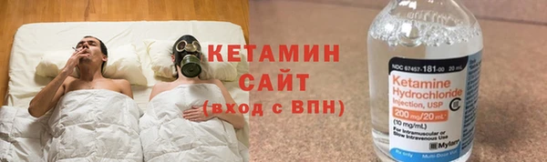 трава Ельня