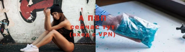 трава Ельня