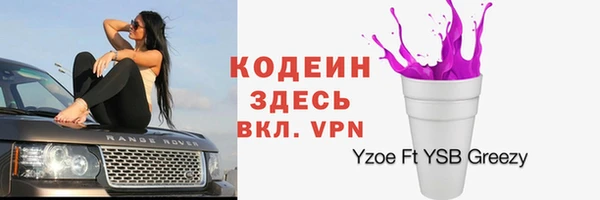 соль ск Елабуга