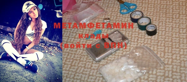 трава Ельня
