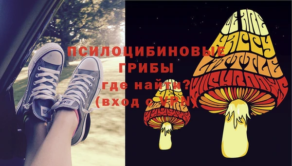 соль ск Елабуга
