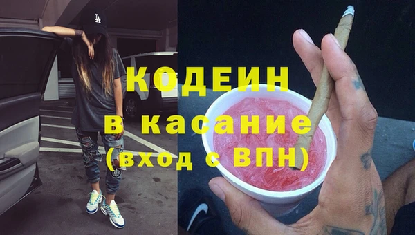 амф Елизово