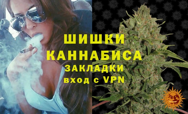 амф Елизово