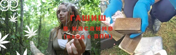 амф Елизово