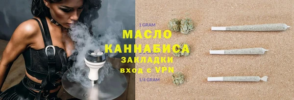 трава Ельня