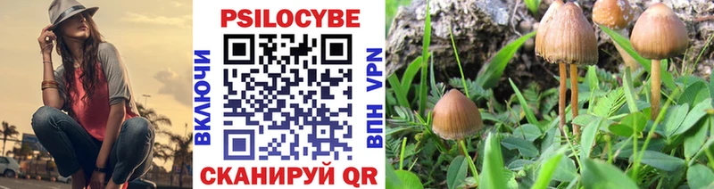ОМГ ОМГ ссылка  Новокузнецк  Галлюциногенные грибы Psilocybe  как найти закладки 