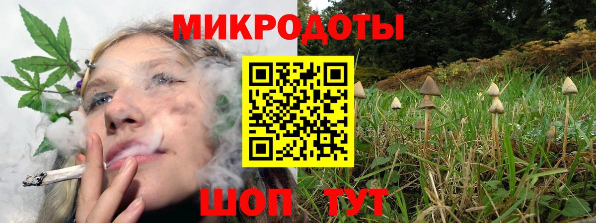 Россия  Псилоцибиновые грибы мицелий  Вход с VPN 